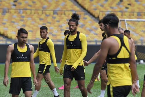 HARIMAU MALAYA