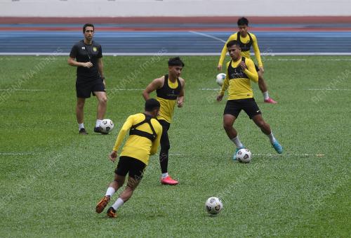 HARIMAU MALAYA