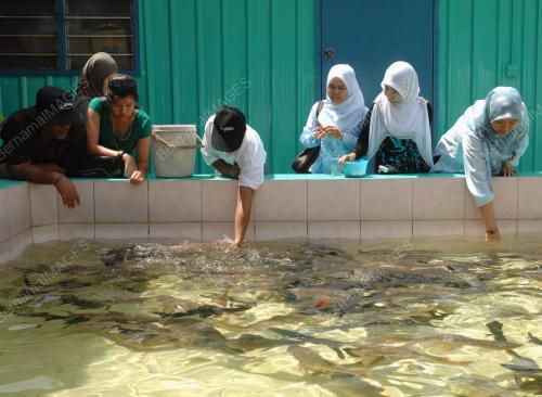 GALERI KELAH