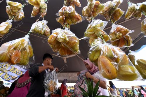 KL12_01102017_BUAH_BERLIMBING