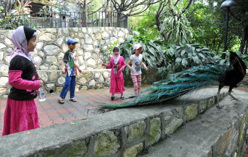 KL12_02022014_TAMAN_BURUNG