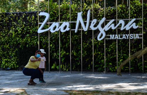 TINJAUAN HARI PERTAMA ZOO NEGARA DIBUKA SEMULA SEMPENA PKPB