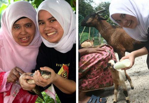 PENGALAMAN BALIK RAYA