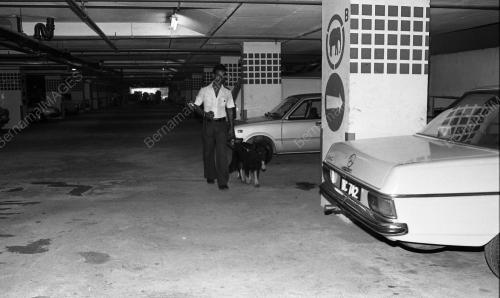 DEMONSTRASI ANJING