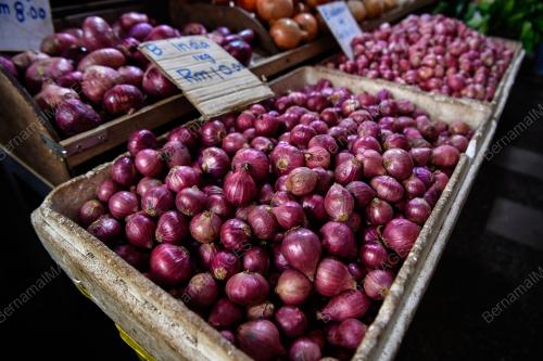 TINJAUAN HARGA BAWANG NAIK MENDADAK