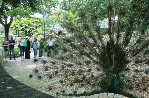 BIRD PARK