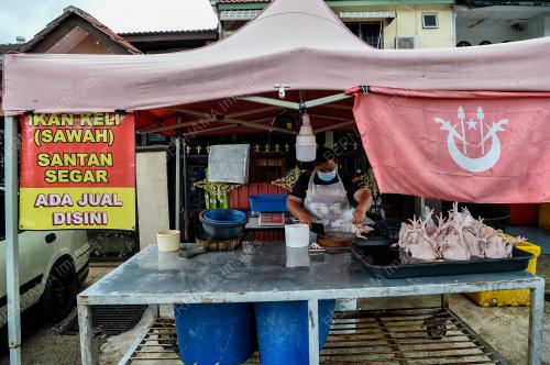 TINJAUAN BEKALAN AYAM MENTAH