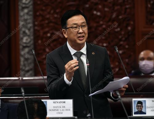 SENATOR DATUK DR DOMINIC LAU HOE CHAI