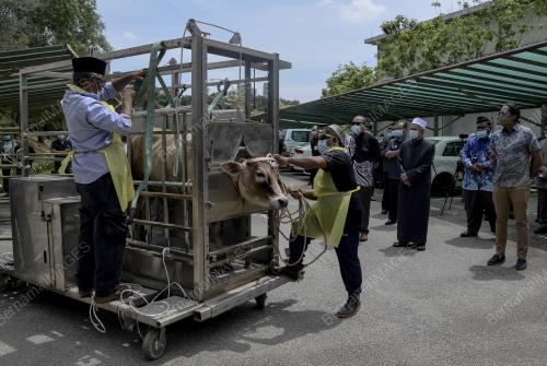 SANGKAR PENYEMBELIHAN MUDAH ALIH