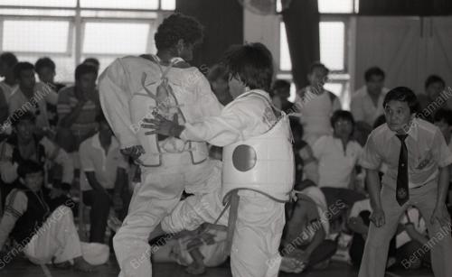 KEJOHANAN TAEKWONDO KEBANGSAAN