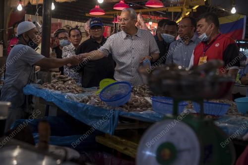 TAN SRI ANNUAR MUSA