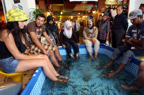 TERAPI IKAN