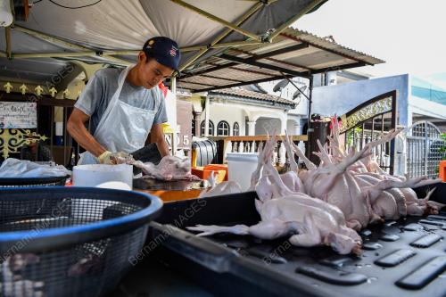 TINJAUAN BEKALAN AYAM MENTAH