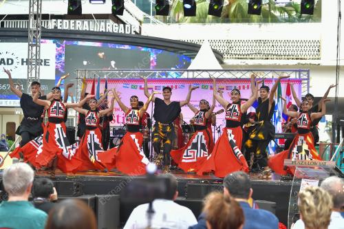 15TH AMERICA LATIN FESTIVAL