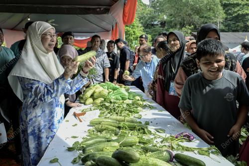 DATUK SERI DR WAN AZIZAH WAN ISMAIL