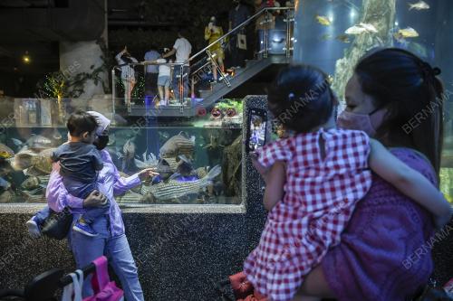 TINJAUAN AKTIVITI HUJUNG MINGGU