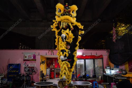 TECK SENG DRAGON & LION DANCE