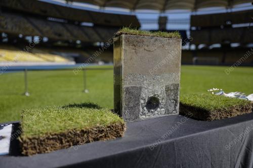RUMPUT ZEON ZOYSIA