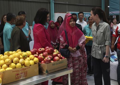 TUANKU ZARA SALIM