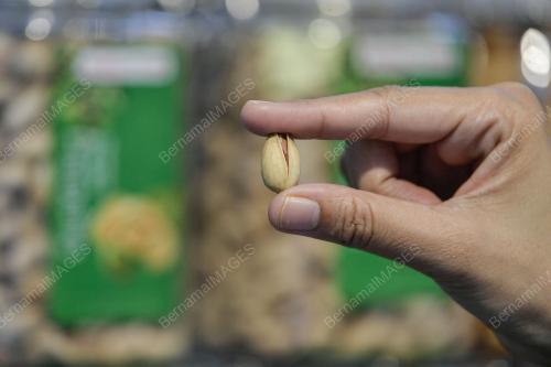 TINJAUAN KACANG PISTACHIO