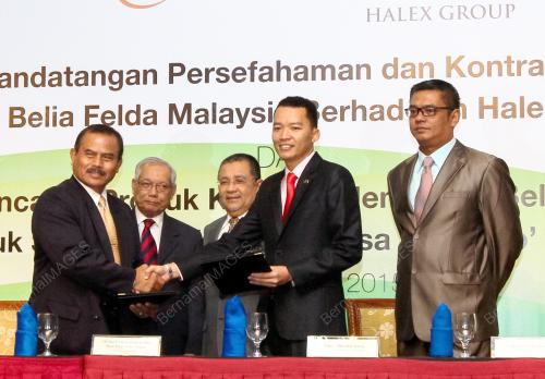 KL12_19112015_HALEX