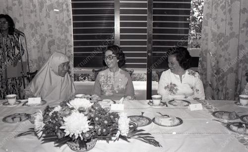 DATIN PADUKA DR. SITI HASMAH MOHD ALI