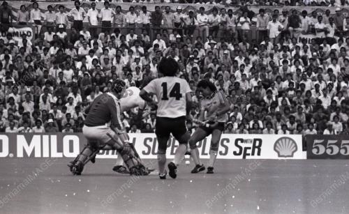 HOKI BELIA ASIA