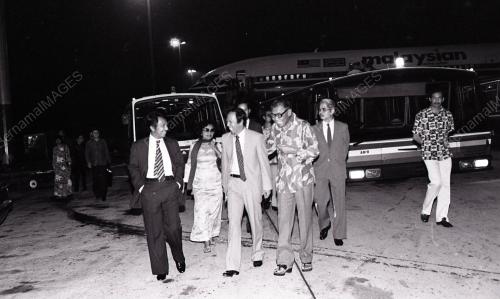 MUSA HITAM