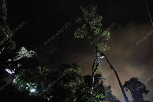 KL12_21042017_POKOK