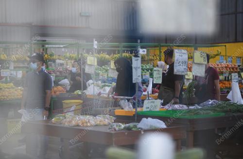 TINJAUAN PEMBELIAN PANIK PKP 3.0