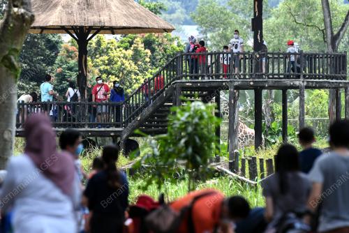 TINJAUAN ZOO NEGARA MENGIKUT SOP