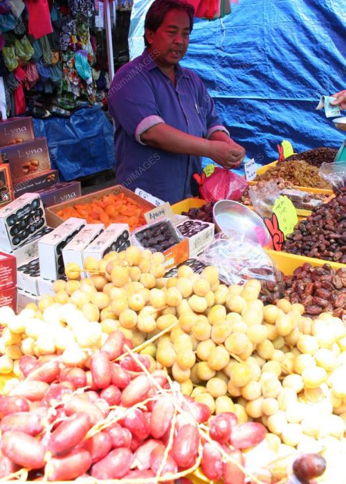 PENGEDAR KURMA