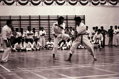 SENI SILAT POLIS