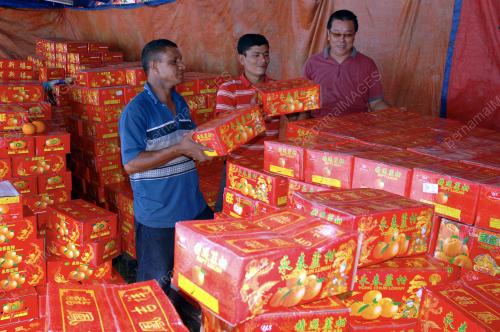 TAHUN BARU CINA