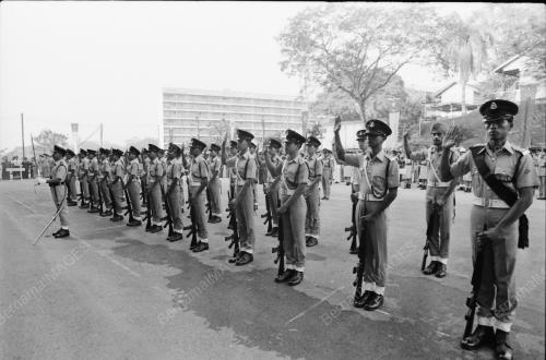 HARI POLIS