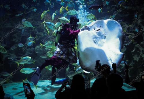 TINJAUAN CUTI UMUM AQUARIA