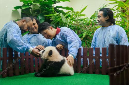 KL12_26052018_PANDA_BN201805239223