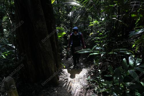 PROJEK TAMAN TUGU