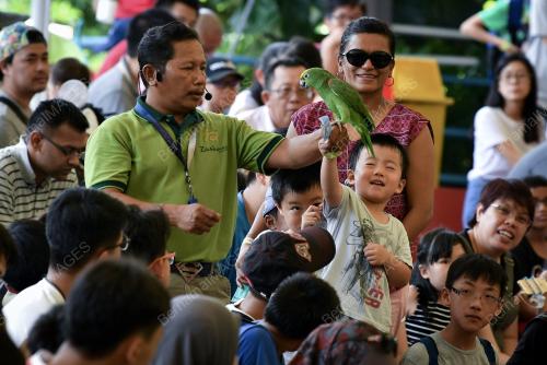 KL12_29052018_ZOO_BN201805289537