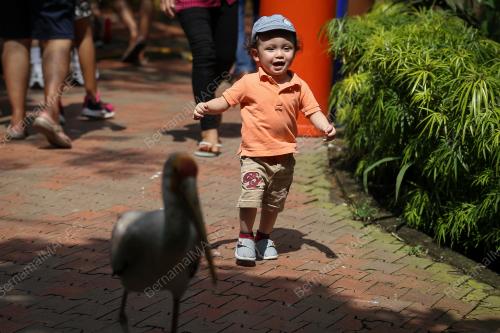 KL12_30122018_TAMAN_BURUNG