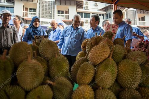KL12_31012019_FAMA_BN201901309567