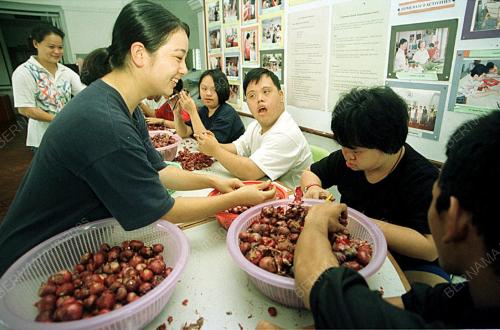 JAPANESE VOLUNTEER
