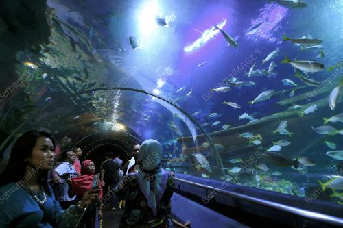 KL13_01012018_AQUARIA_BN201712315050