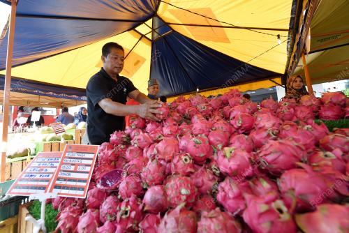 KL13_01032019_FAMA_BN201902281982