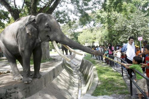 ZOO NEGARA