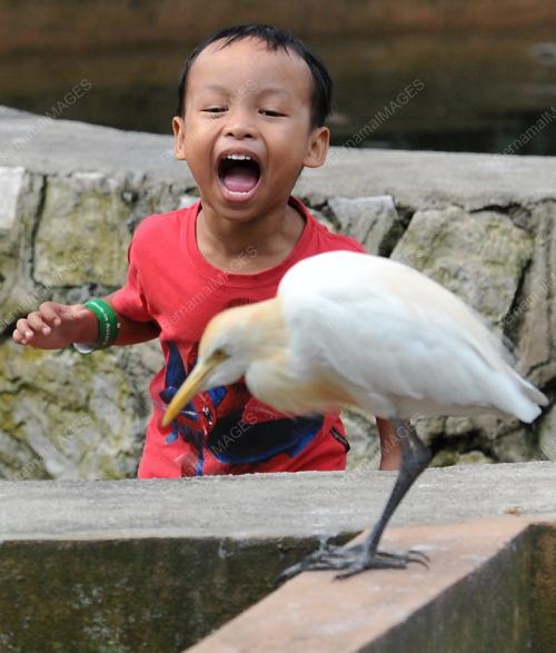 KL13_02022014_TAMAN_BURUNG