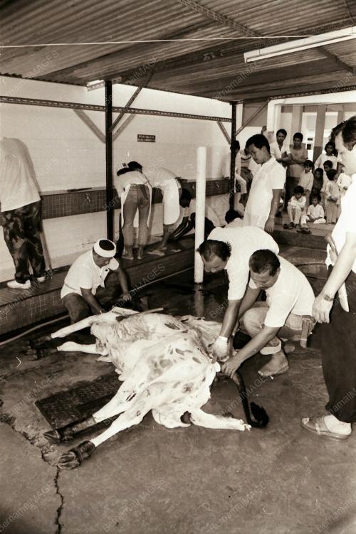 HARI RAYA QURBAN DI KAMPUNG BARU