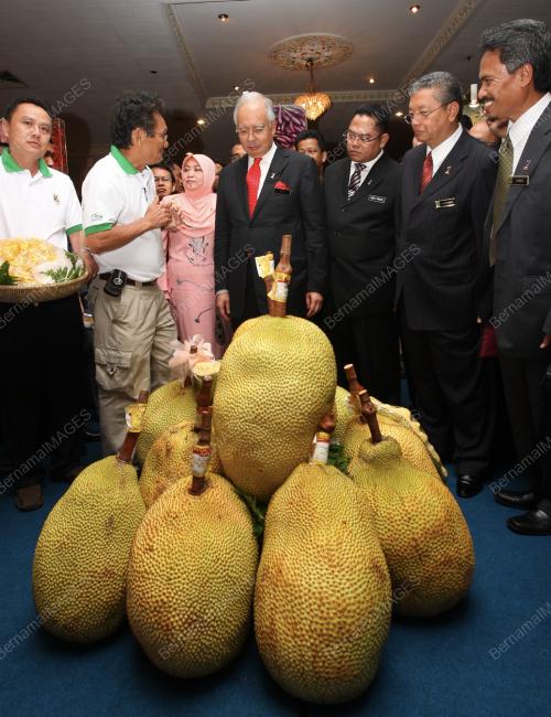 NAJIB TUN ABDUL RAZAK