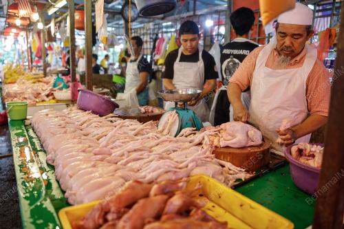 HARGA AYAM SELEPAS TAHUN BAHARU