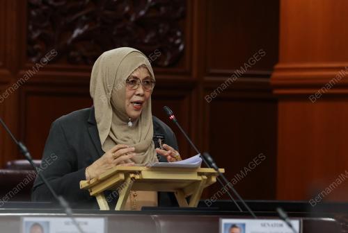 PERSIDANGAN DEWAN NEGARA